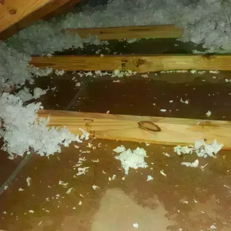 Attic Water Damage in Coleraine, MN