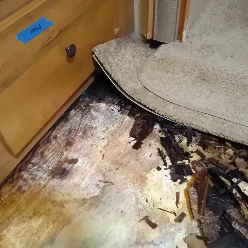 Wood Floor Water Damage in Coleraine, MN